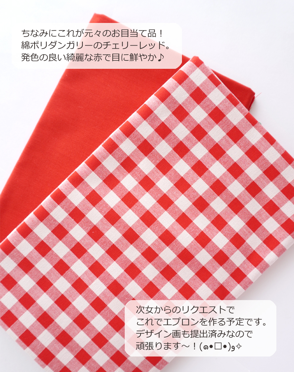 布買い記録20250331-6.jpg
